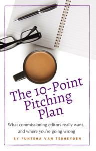 10-Point Pitching Plan copy