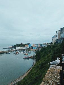 Tenby-Pembrokeshire-Wales-Tigerl