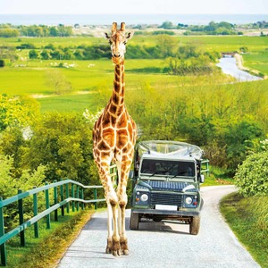 Port Lympne