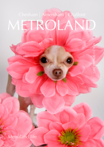 Metroland S25