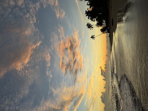 IMG_2262