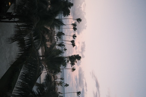 DSCF5157