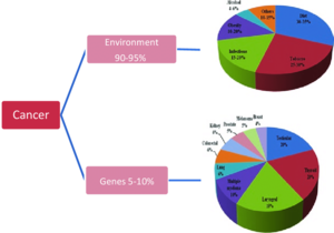 Cancer-contributing-genetic-and-