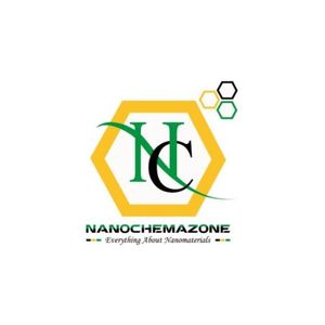 nanochezone logo1
