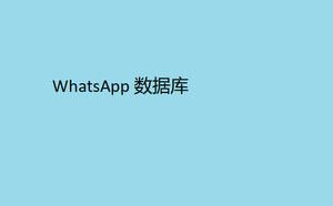 WhatsApp 数据库