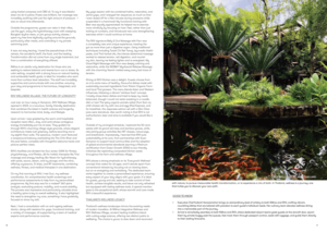 Health Travel Magazine 2026 - RA