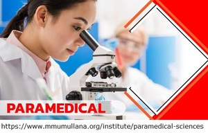 paramedical admission 2026