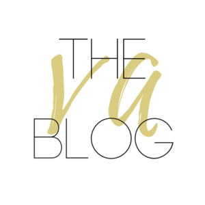 The Blog VA logo