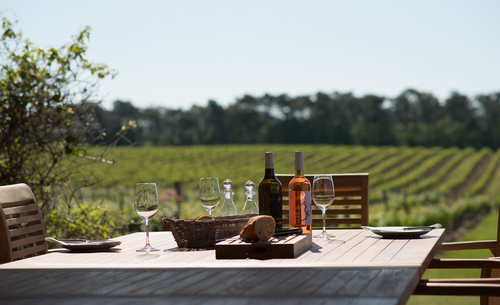 Views over the Grand Mayne vineyard