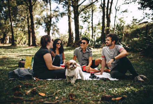 National Picnic Week seeks UK top spot