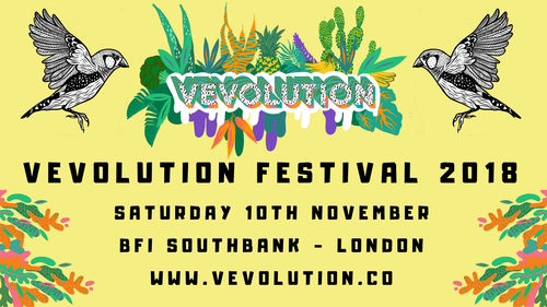 Vevolution Festival 2018 Promo Image