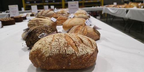 Sourdough Bread: A Cut Above The Rest