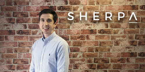 Martyn Lewis - Creative Director, Sherpa