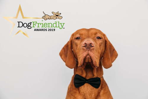 The DogFriendly Awards   