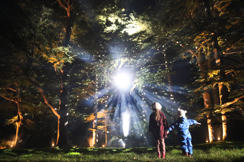 WESTONBIRT’S NEW ENCHANTED CHRISTMAS