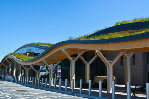 Skelton Lake Services Wildflower Roof