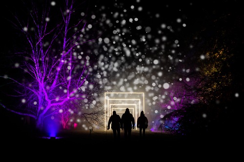 Enchanted Christmas at Westonbirt