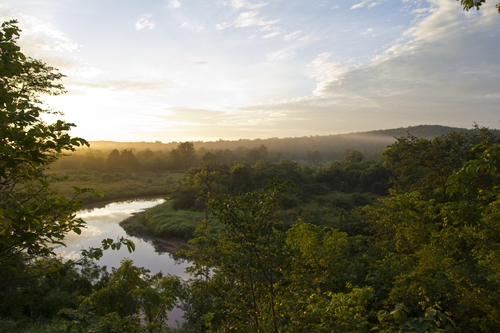 Kariba - Forest Protection in Zimbabwe