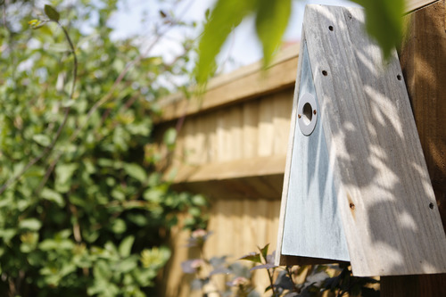 RSPB nest box for small garden birds