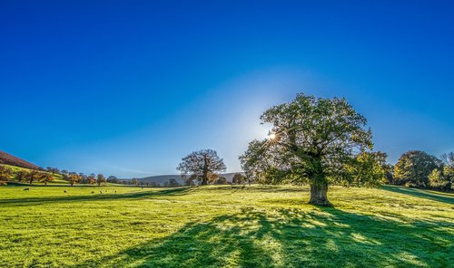 Forest of Marston Vale