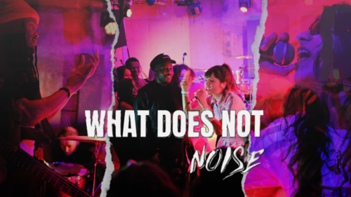 What Does Not NOISE