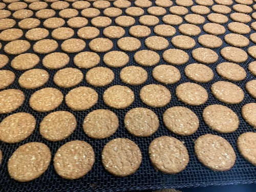 Wire Mesh Conveyor Belt