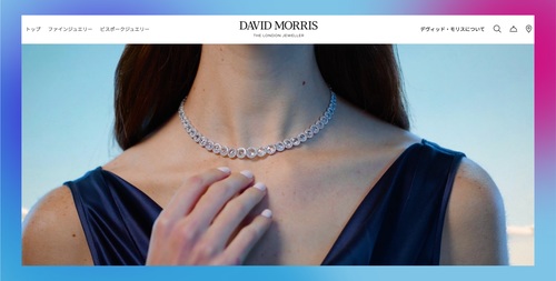 David Morris x Japan home page