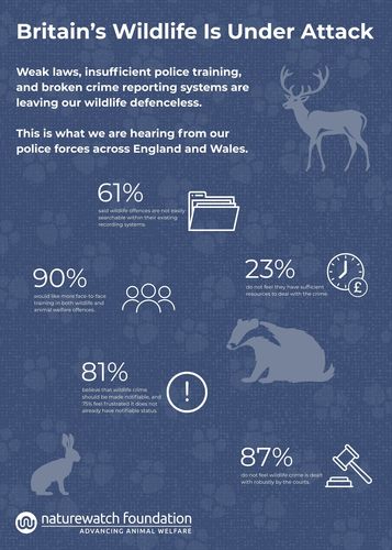 Key stats from Make Wildlife Count 