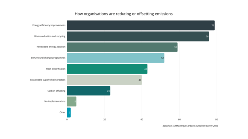 Energy Emissions Offsetting Infographic