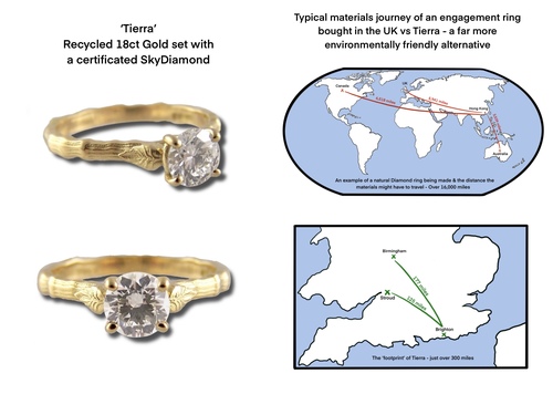Tierra Diamond ring & materials graphic Tierra Diamond ring & materials graphic
