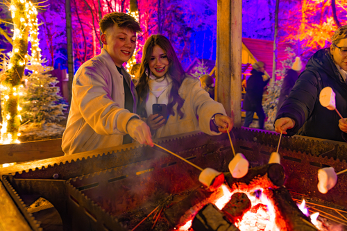 Couple toasting marshmallows