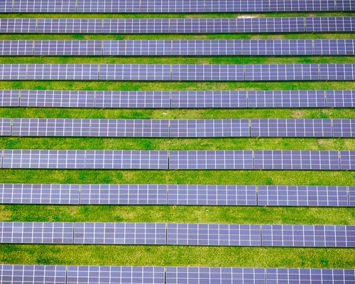 Field of Solar Panels