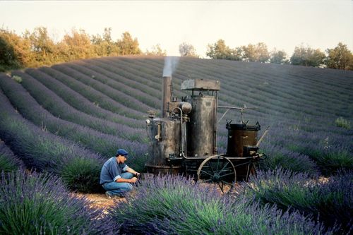 1976 L'Occitane Founder Olivier Baussan
