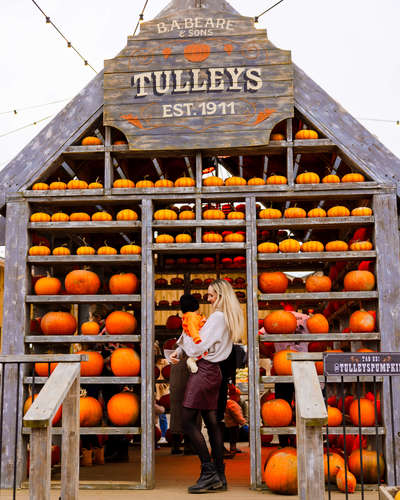 Tulleys Pumpkin Festival 