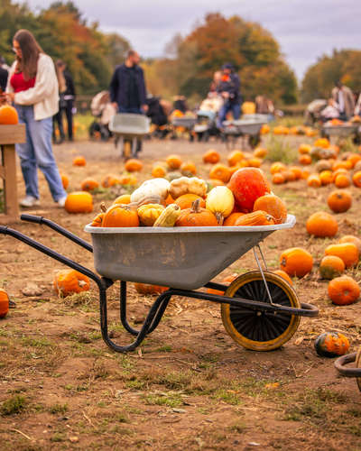 Tulleys Pumpkin Festival 
