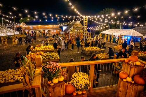 Tulleys Pumpkin Nights