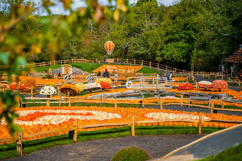 Tulleys Pumpkin Festival