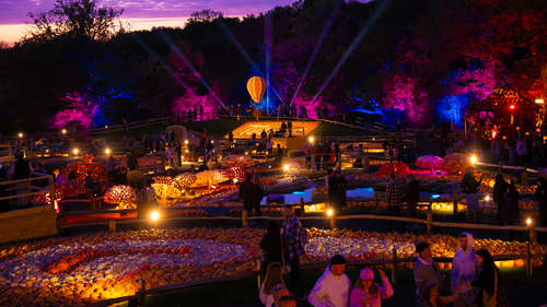 Tulleys Pumpkin Valley 