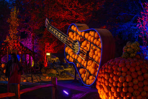 Tulleys Pumpkin Valley