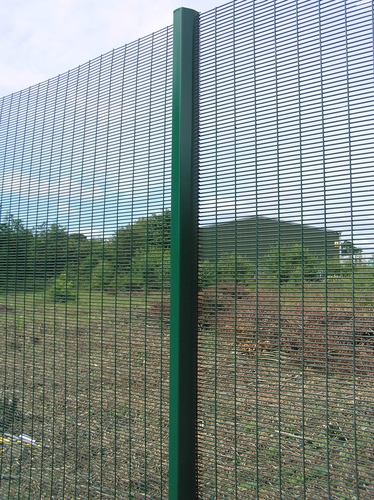 Prosure 358 mesh fencing from Procter