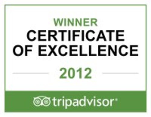 TripAdvisor Excellence Award