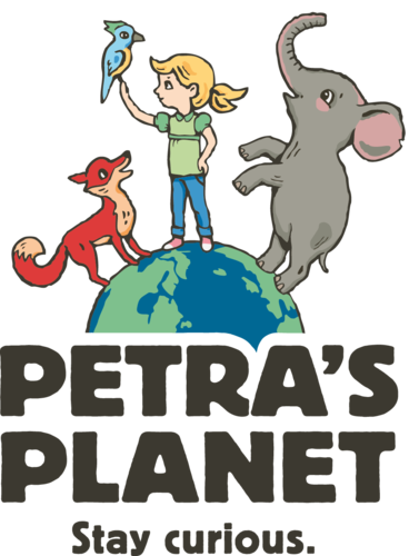 Petra
