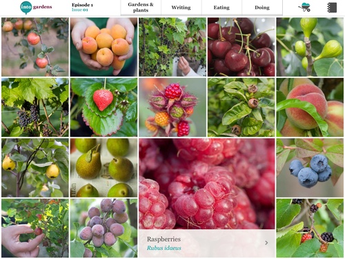 intoGardens Fruit list feature