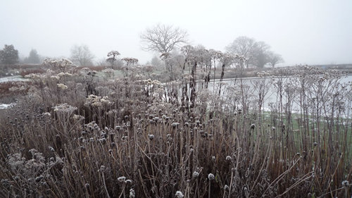 Landscape in the frost