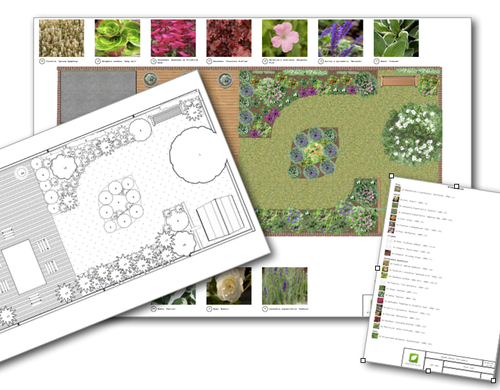 Garden Design Plan by plantify.co.uk