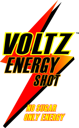 VOLTZ International Ltd LOGO