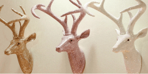 Star Studded Stag 3D