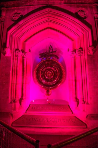 Corpus Chronophage lit pink