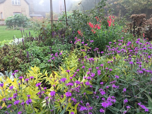 Centenary Woodland Garden