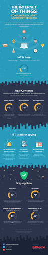 BullGuard IoT infographic